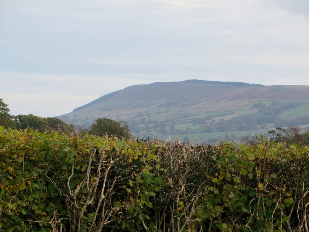 Rough grass and heather on the top of Longridge Fell with a wide view over the Ribble Valley
