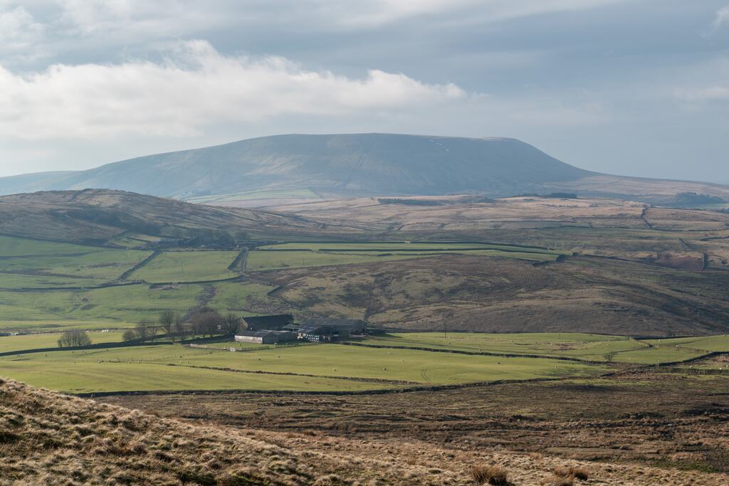 Winter light over walled pasture, looking across the valley to the long whaleback of Pendle Hill